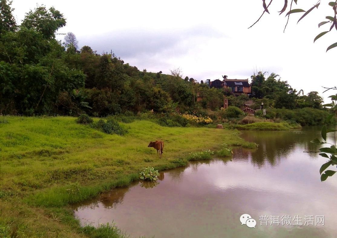 寂静的湖光山色 冬天里的洗马河湿地公园,虽然没有春天里的秀丽,没有