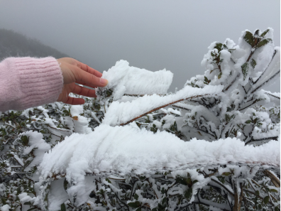 年度朋友圈雪景摄影大赛今早鸣锣,火速围观!