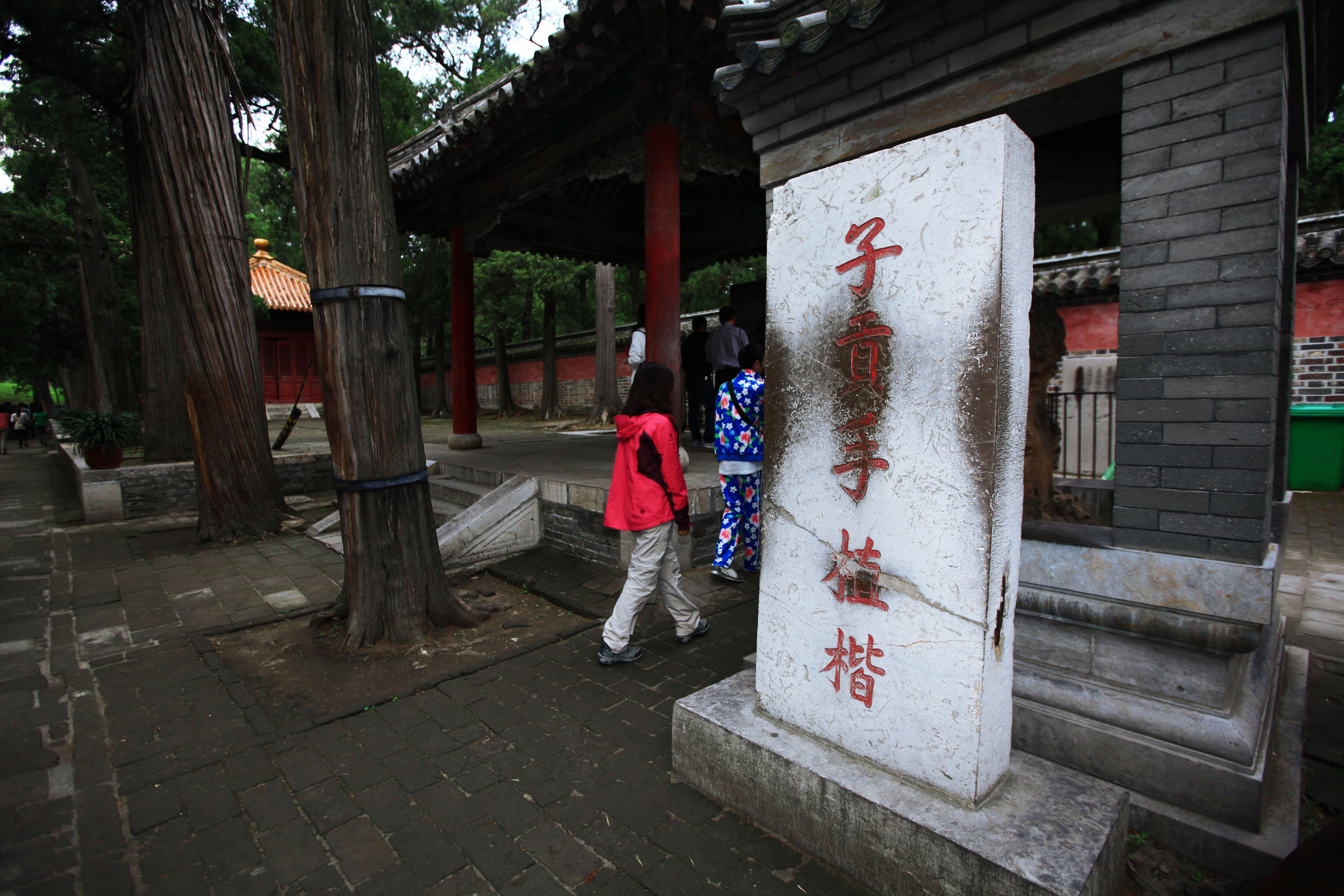 到了曲阜孔林才知道死不起只是一个传说