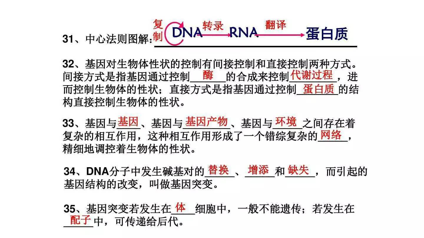 高中生物难吗