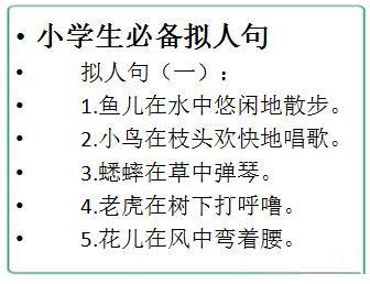 下笔如有神!小学语文2-6年级拟人句集锦,错过可惜