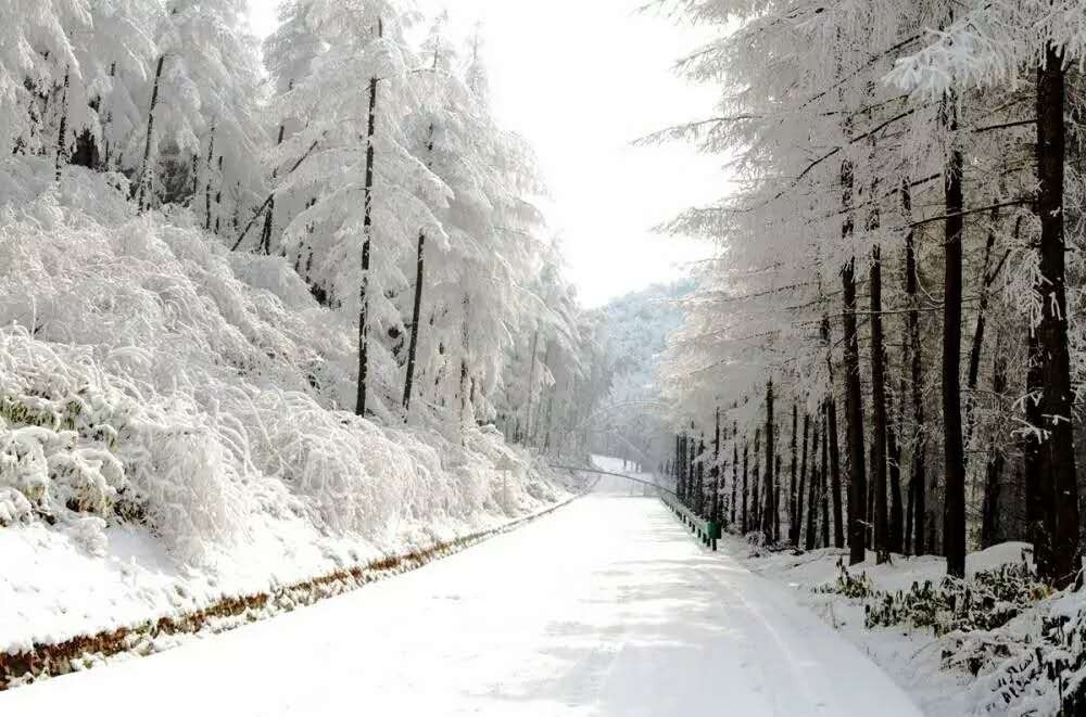 奉节县茅草坝滑雪场位于奉节县兴隆镇旅游环线内,该滑雪场占地面积约6