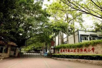 no.3 华侨城小学