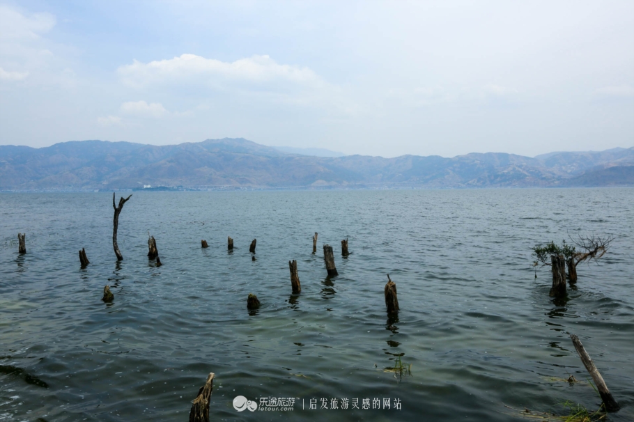 大理海舌公园,三面临水的绿洲