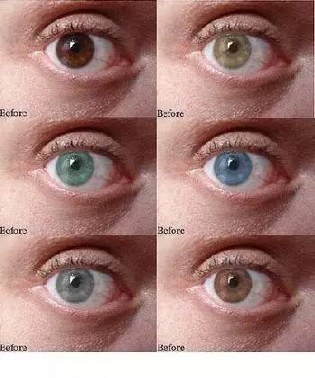 为什么我们的眼睛会有不同的颜色