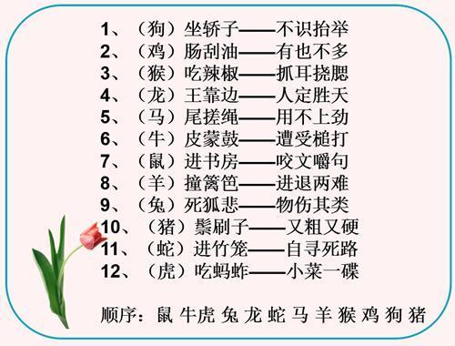 用什么成语赞美老师_赞美上海的词语或成语(3)