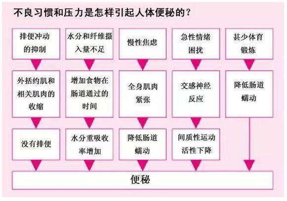 排便的原理_被室友嫌 占着茅坑不拉屎 ,肿么办(2)