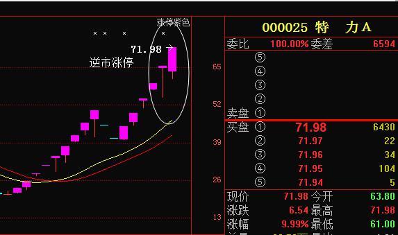 适合大资金运作和散户追涨杀跌,大市值股票和小盘股都不可能充当龙头