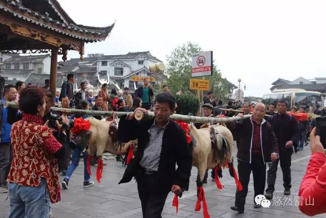 雷山总人口_雷山民族中学(2)