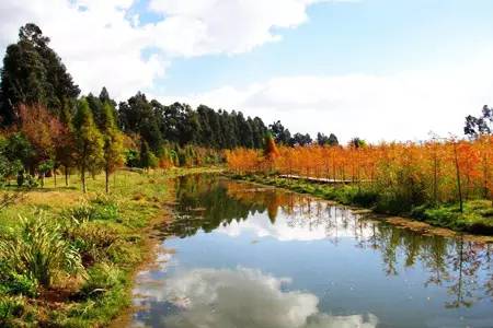 东大河湿地公园