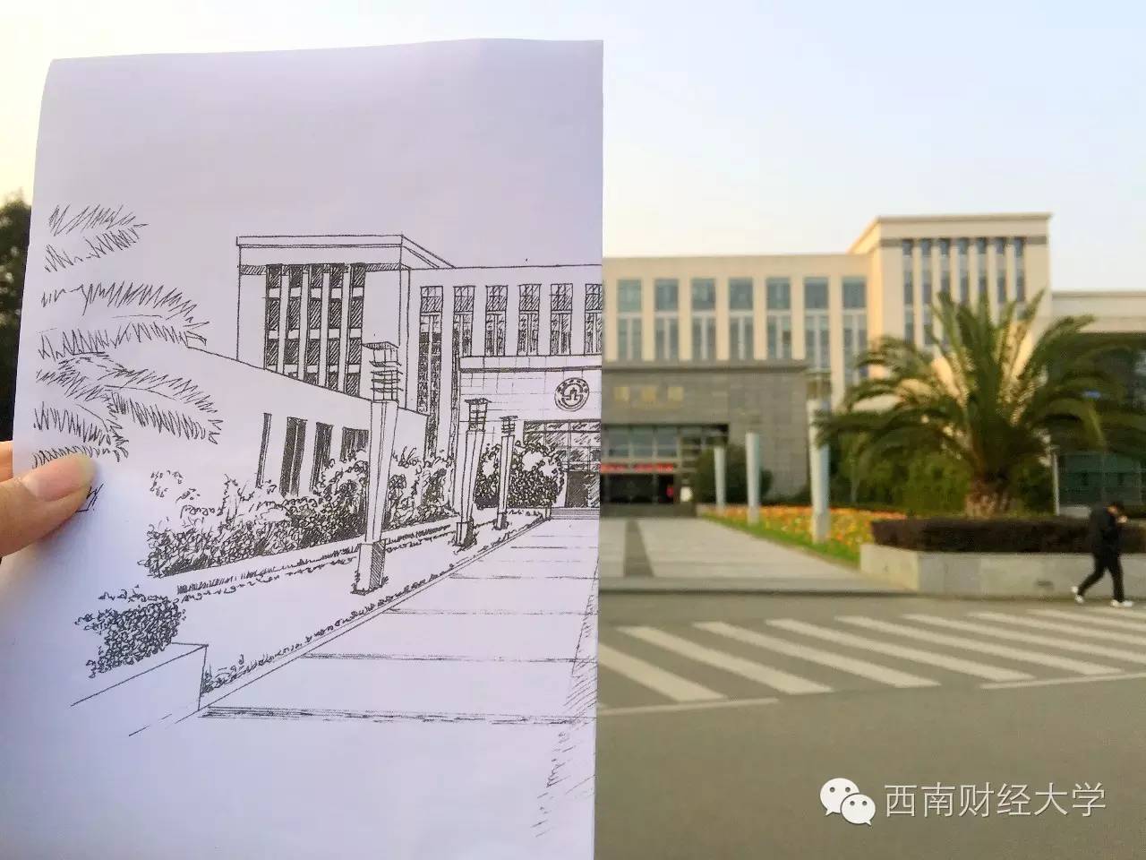 我的大学风景,我的手绘西财