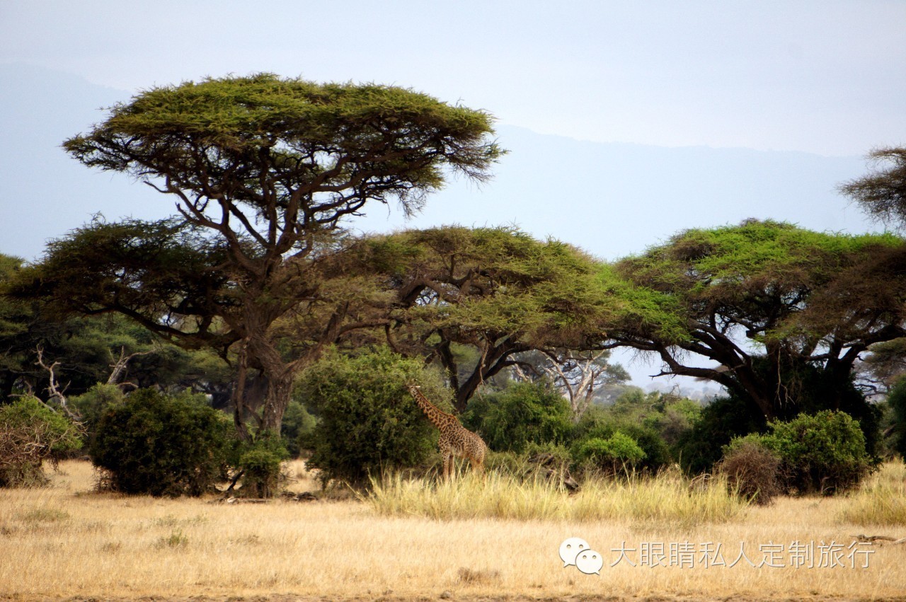 纳米比亚·namibia