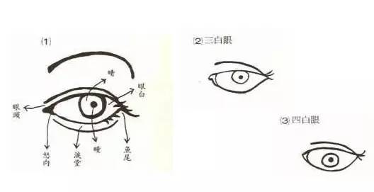 面相.眼相.嘴相