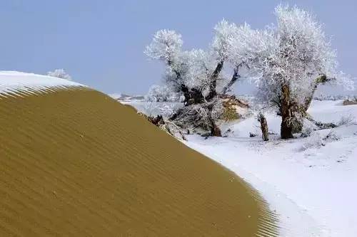 游玩推介 || 冬日康平 当沙漠遇见浪漫的雪