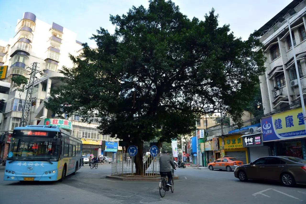 遇见河下街 | 每当变幻时,便知时光去