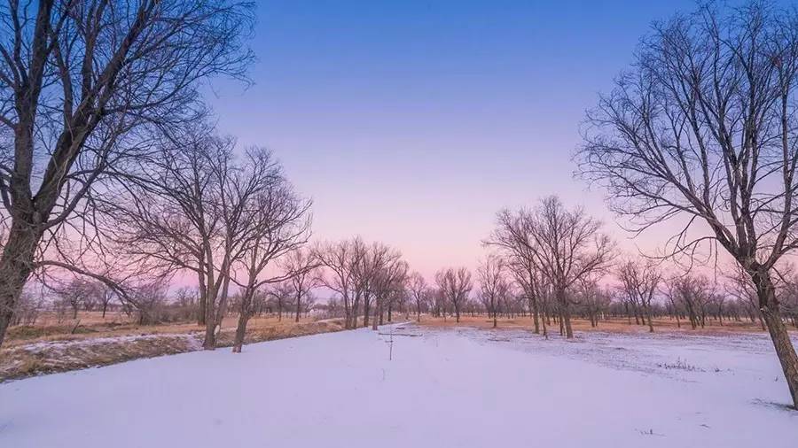 【经典导读】十首关于雪的诗词,拿走不谢!