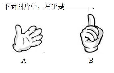 题答案         【答案】a    【简答】伸出双手比一比,据此判断左右