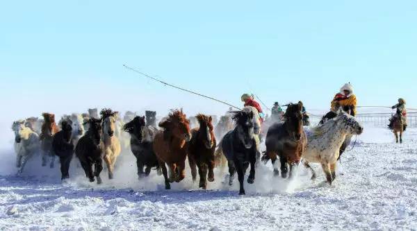 第十四届内蒙古冰雪那达慕将于2017年元月盛