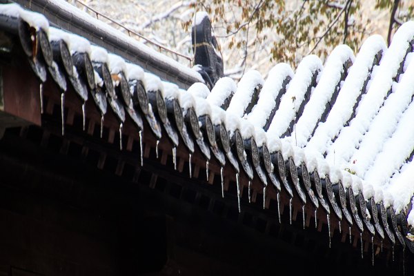 雪融成水,水滴成柱,一夜间,冰柱挂满了屋檐,形状各异的冰柱,玲珑剔透