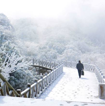 南平武夷山桐木关沏壶热茶再赏雪桐木关位于闽赣交界,为武夷山八大