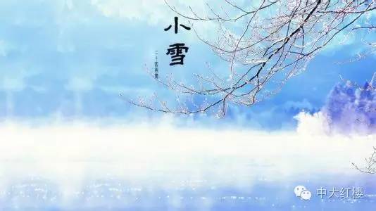 小雪|红楼梦冬日诗词鉴赏之邢岫烟