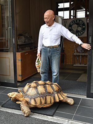 分享:动物奇趣图片精选