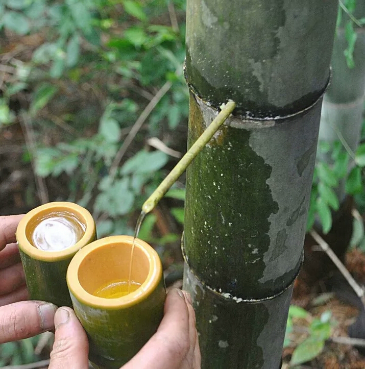 那竹筒酒到底是如何制作的呢?