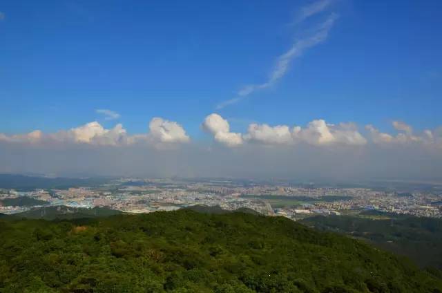 东莞有个森林公园在你大岭山镇,约起去看莲峰飞鹭!