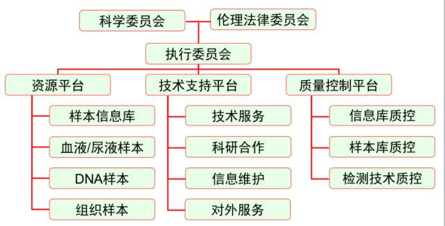 人口出生高峰数据_单独二胎落地或致人口出生小高峰 关注贝因美等奶企(2)