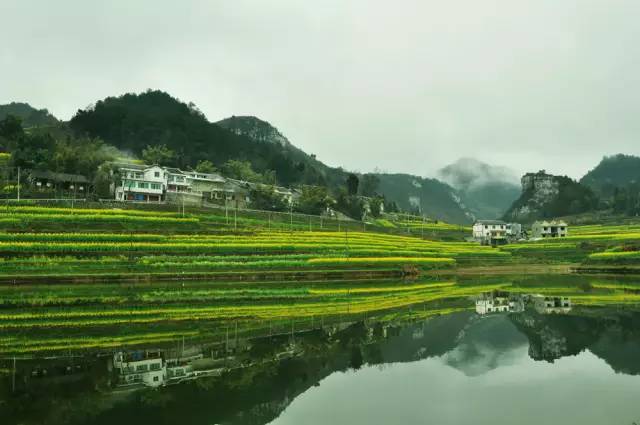 遵义市虾子镇人口多少_遵义市虾子门镇三台(2)