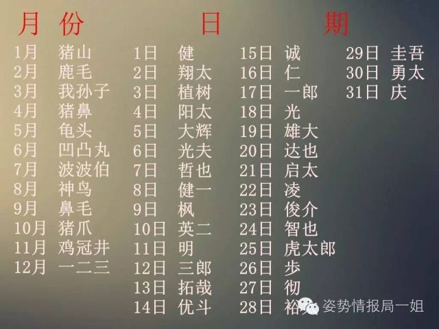 偏姓人口_人口普查(2)