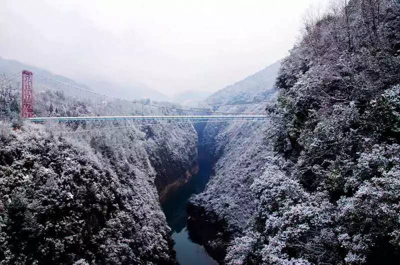 平南县高坪村有多少人口_平南县村肚屯(2)