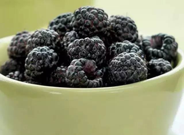 black raspberry 黑树莓