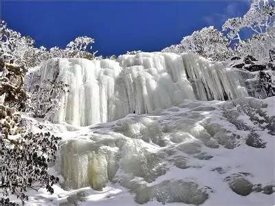 轿子雪山