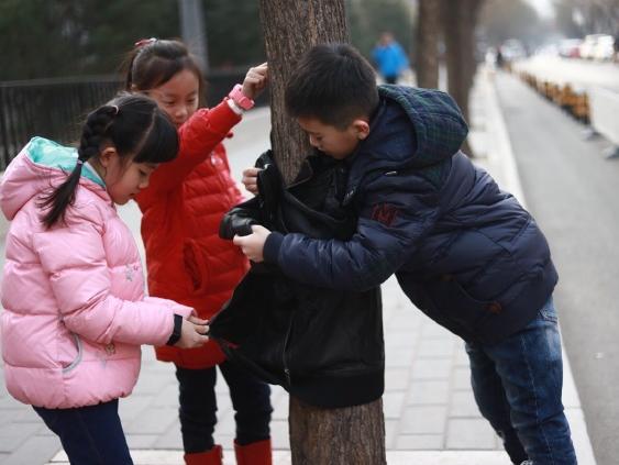 给流浪汉最有尊严帮助 小学生给树穿衣感动千万人