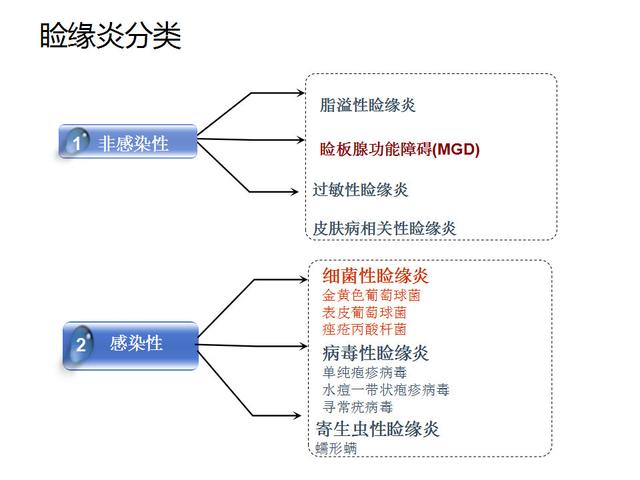 眼睑缘炎的原因及治疗