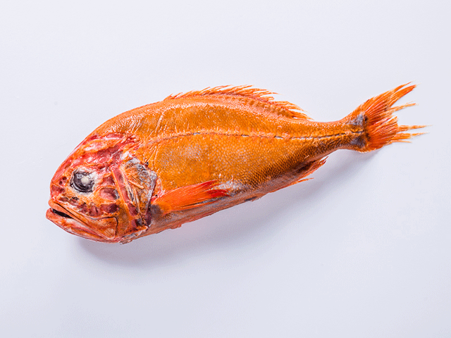 从新西兰深海里游出来的长寿鱼，这鲜美你根本想象不到!-搜狐吃喝