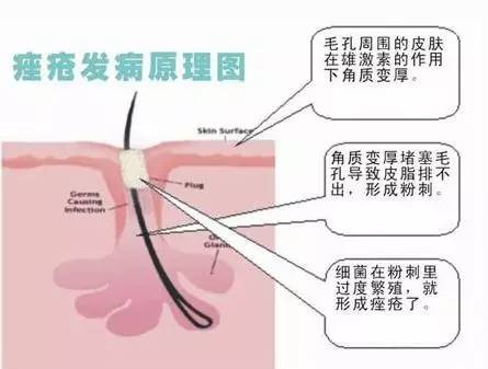 吃避孕药的原理_1、避孕药的原理   避孕药分为两种,一种是长效避孕药,一种是紧急避孕药.(3)