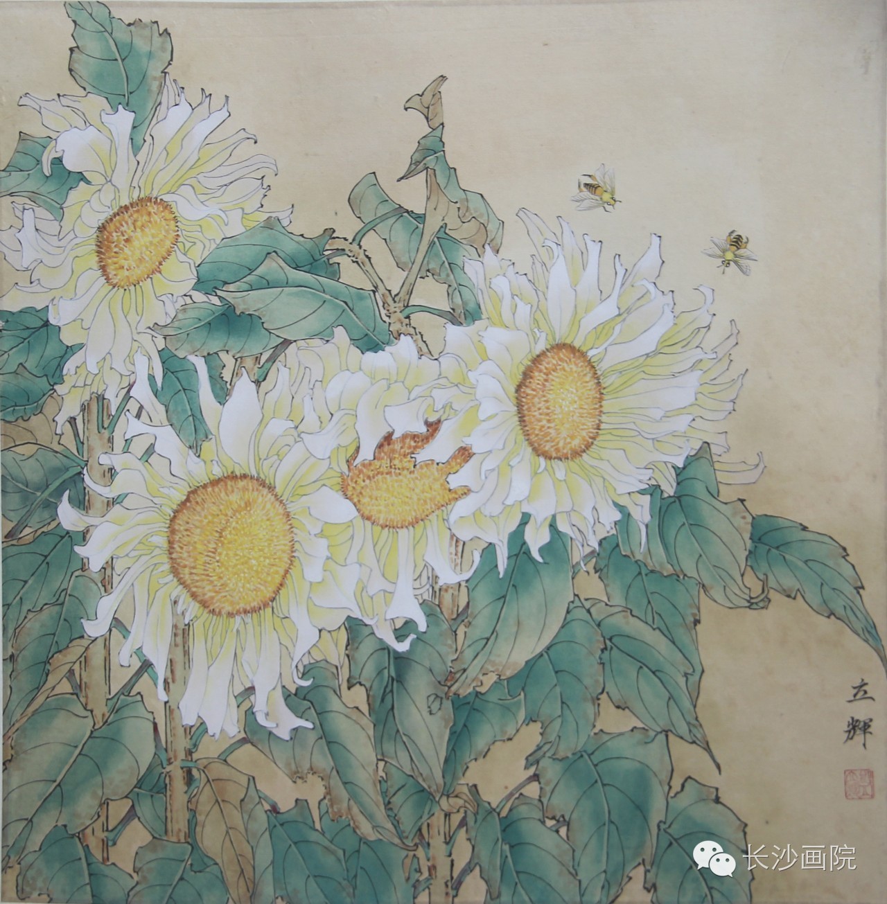 《向日葵》 工笔画 45x45cm 办展联系 办展联系: 长沙画院美术馆