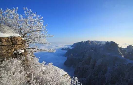 只有仙境 生命以另一种姿态出现 带来了雪的山野 如烟如纱