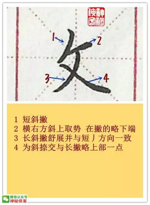 12.反文旁书写示范11.斜王旁书写示范10.月字旁书写示范9.