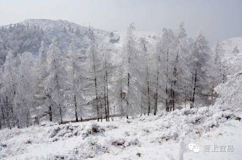 大雪节气赏雪景 全宜昌最美的雪景都在这儿了!