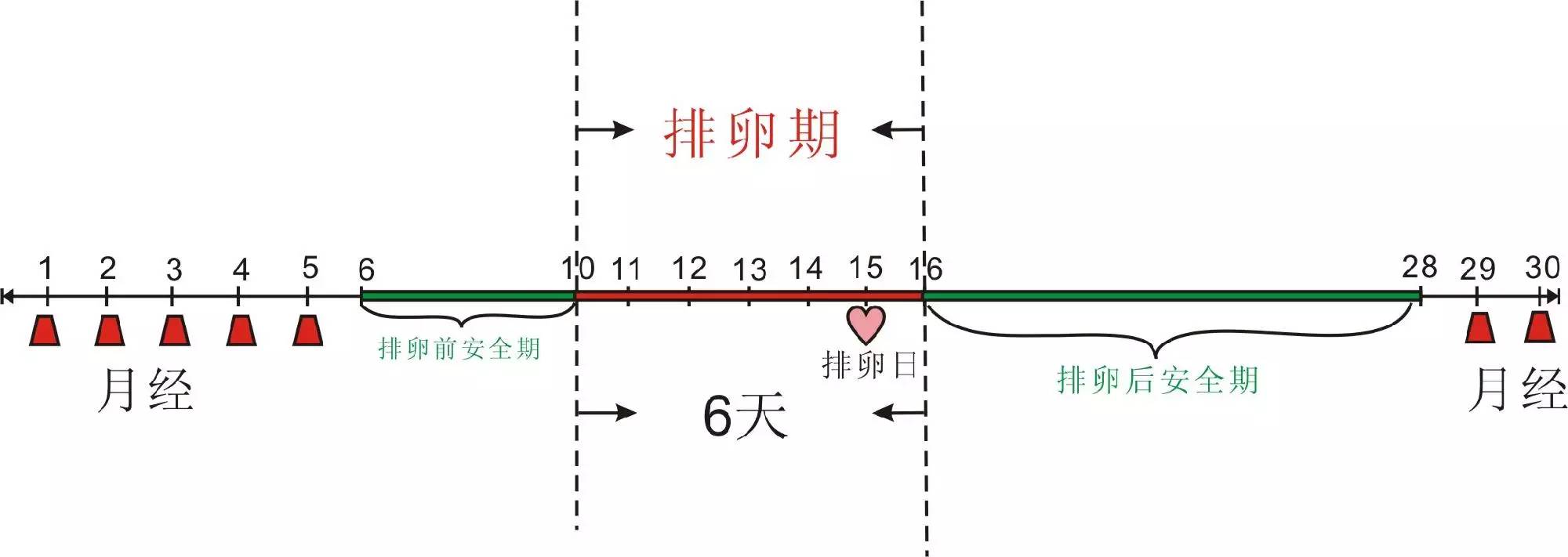 用醋测怀孕的方法如下