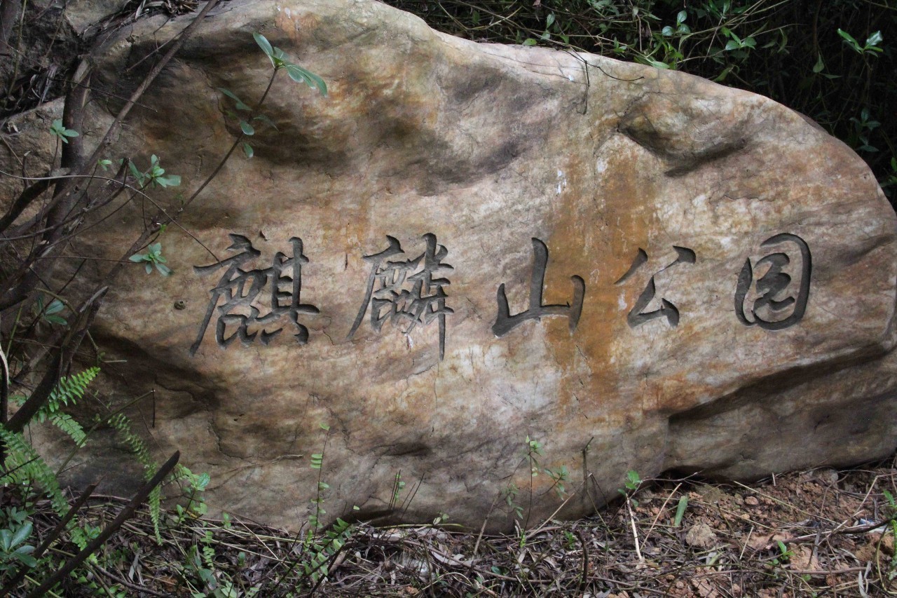 据 知 麒麟山公园属于连平村村委集体土地.