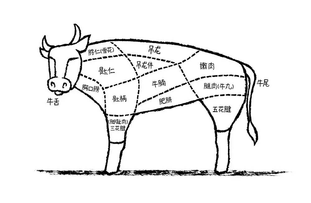 因为牛一直在走,这块肉是牛身体部位中运动量最大的,纹路明显,所以吃