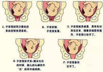 怀孕12周: 在怀孕3个月的时候,准妈妈的子宫看起来就像个柚子,子宫随