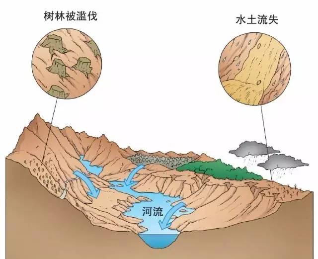 水土保持就是指对自然因素和人为活动造成的水土流失所采取的预防和