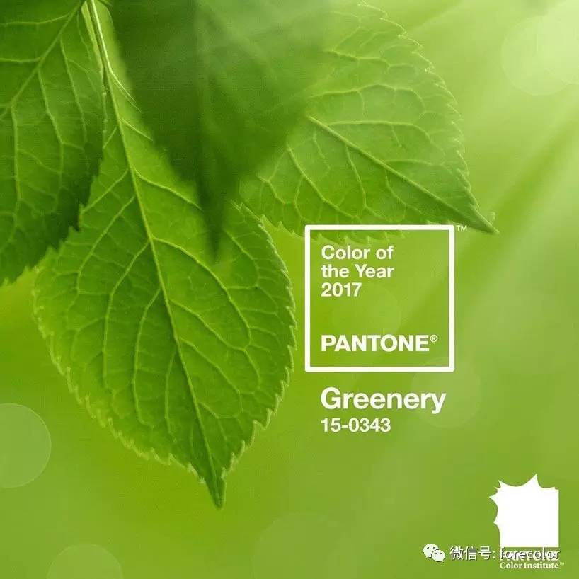 pantone 2017年度色:greenery青草绿