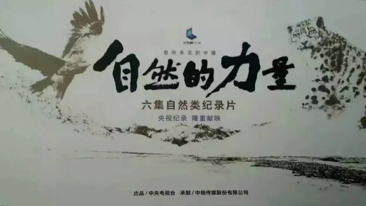 《自然的力量,给你一个前所未见的野性中国!即将跨年献映,敬请期待!