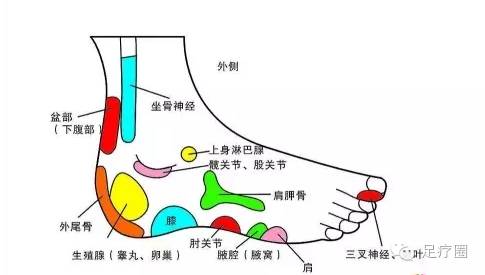 来回按摩足指头和足底交界处(包括血压调节点,小脑脑干,特效降压点,眼